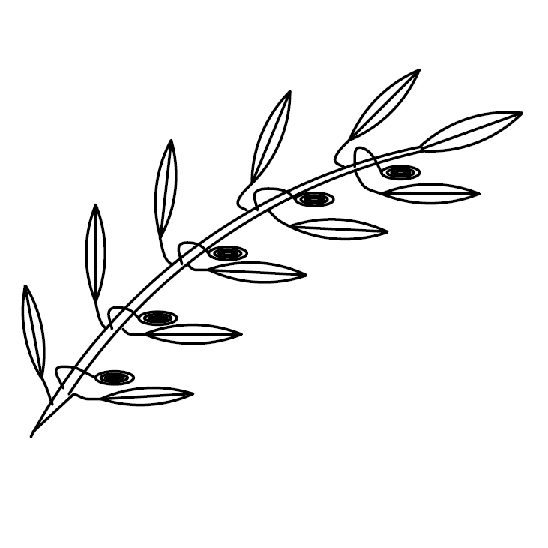 Greek Category Near Me - Hellenic Canadian Academic Association of Ontario